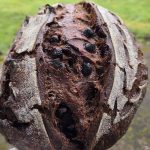 Double chocolate chip sourdough loaf in backyard